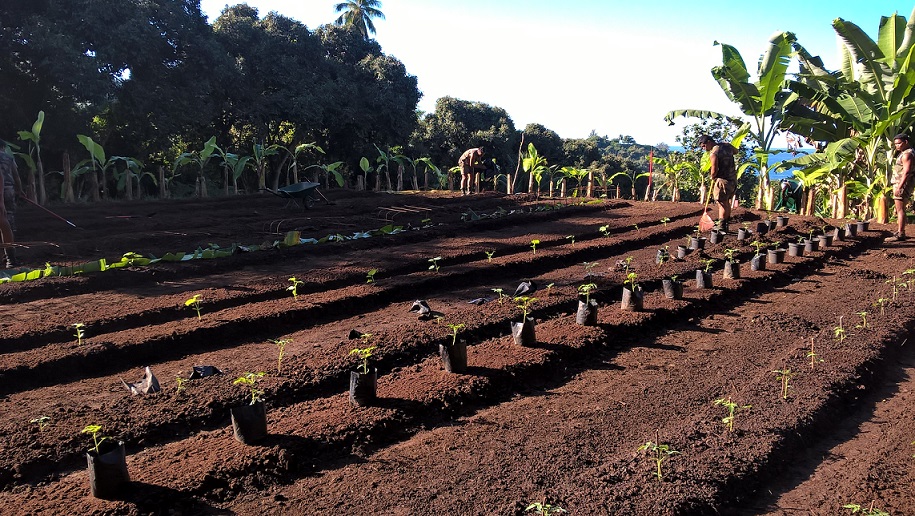 MHR Le jardin après aménagement