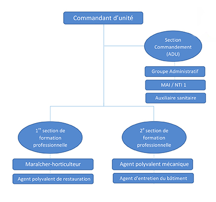 organigramme cfp1B